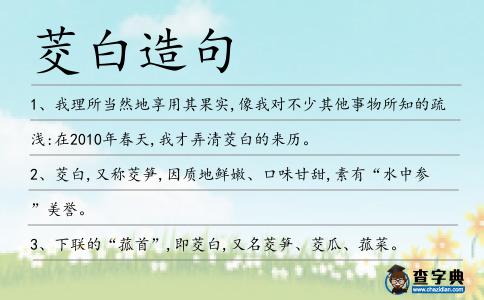 茭白造句