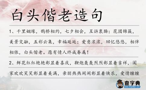 白頭偕老造句