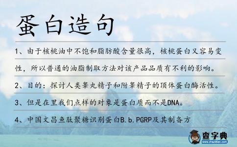 蛋白造句