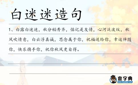 白迷迷造句