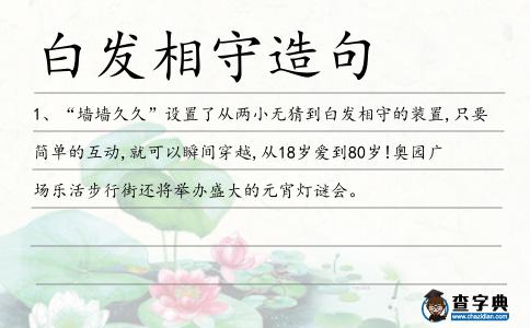 白發相守造句