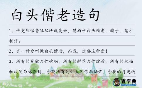 白頭偕老造句