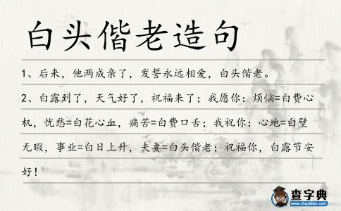 白頭偕老造句