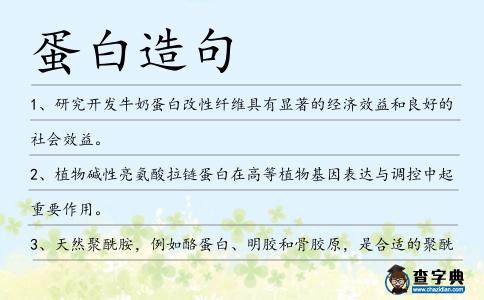 蛋白造句