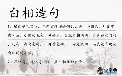 白相造句