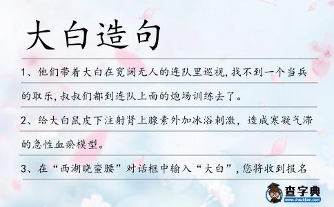 大白造句