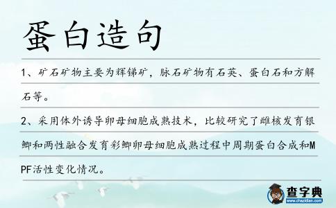 蛋白造句