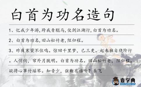 白首為功名造句