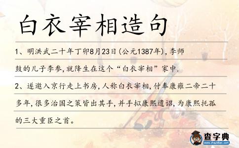 白衣宰相造句