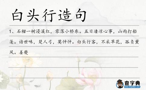 白頭行造句