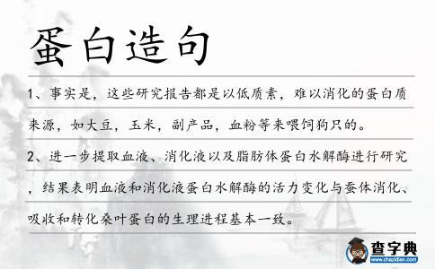 蛋白造句