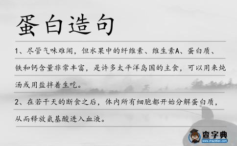 蛋白造句