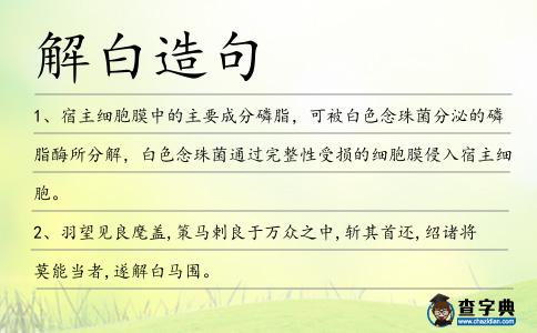 解白造句