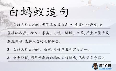 白螞蟻造句