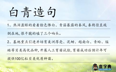 白青造句