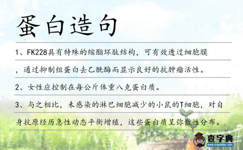 蛋白造句