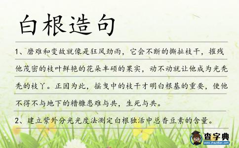 白根造句