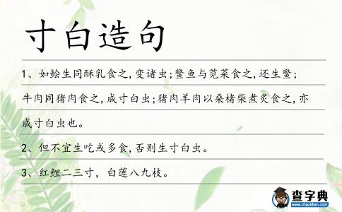 寸白造句
