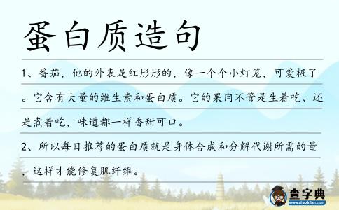 蛋白質(zhì)造句