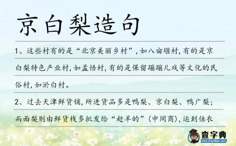 京白梨造句