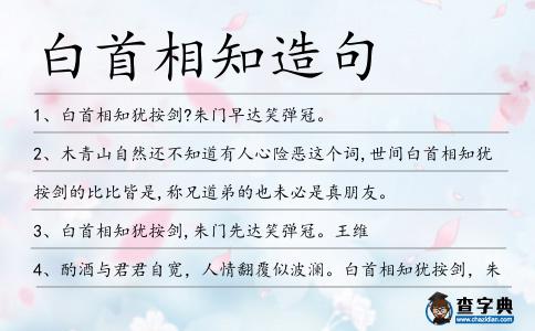白首相知造句