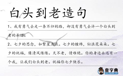 白頭到老造句