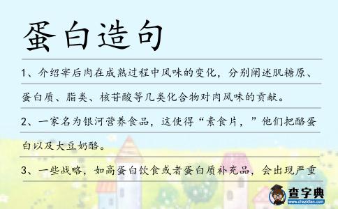 蛋白造句