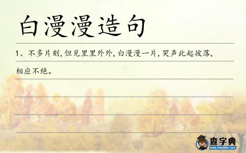 白漫漫造句