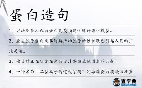 蛋白造句