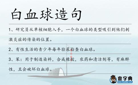 白血球造句