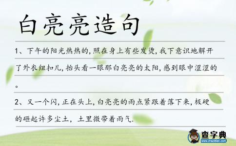 白亮亮造句