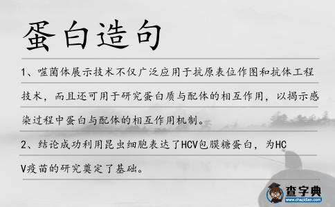 蛋白造句