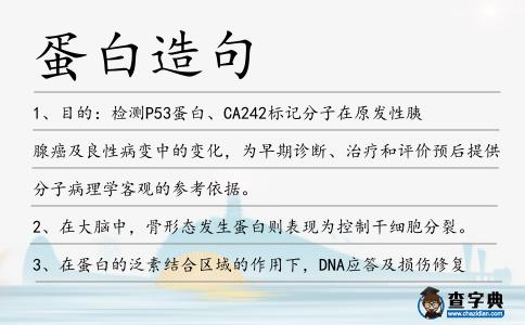 蛋白造句