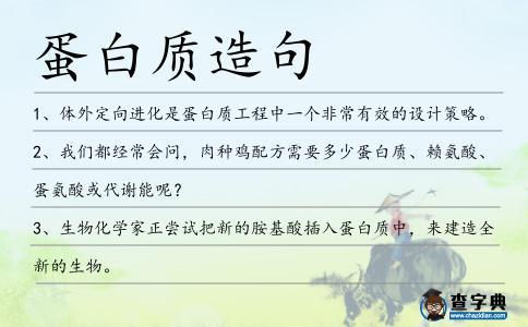 蛋白質(zhì)造句