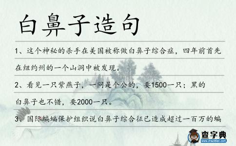 白鼻子造句