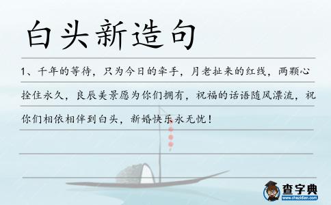 白頭新造句