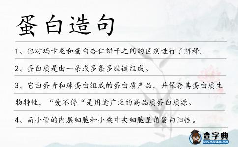 蛋白造句