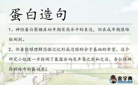 蛋白造句