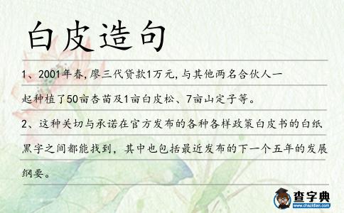 白皮造句