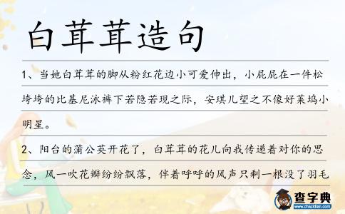 白茸茸造句