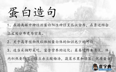 蛋白造句