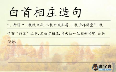 白首相莊造句