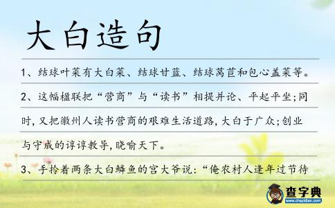 大白造句