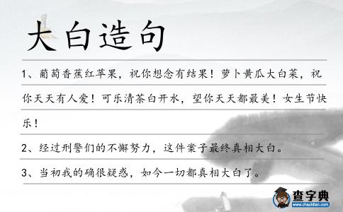 大白造句