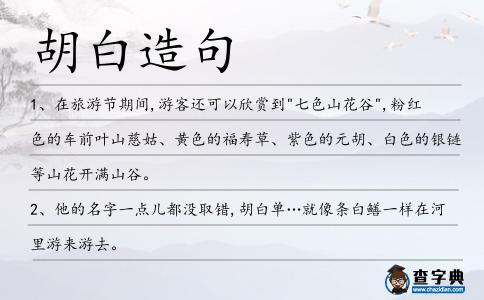 胡白造句