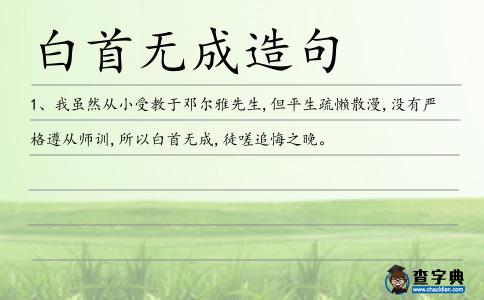 白首無成造句