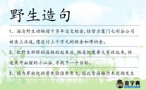 野生造句