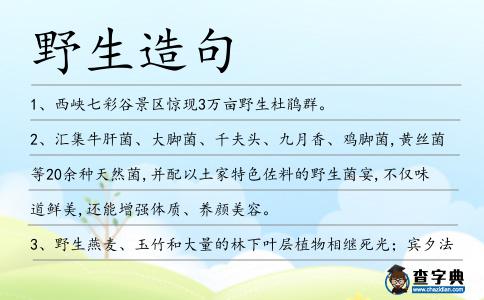 野生造句