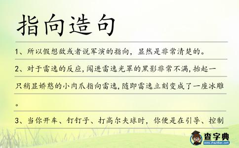 指向造句