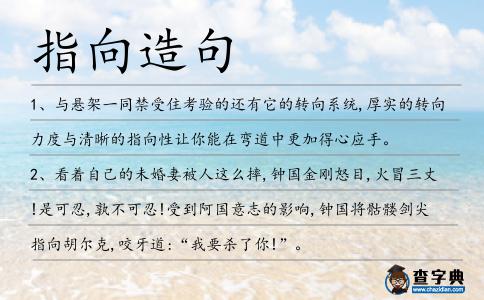 指向造句